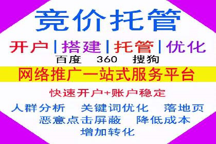 百度推广代运营案例：案例分享：打造行业领军品牌